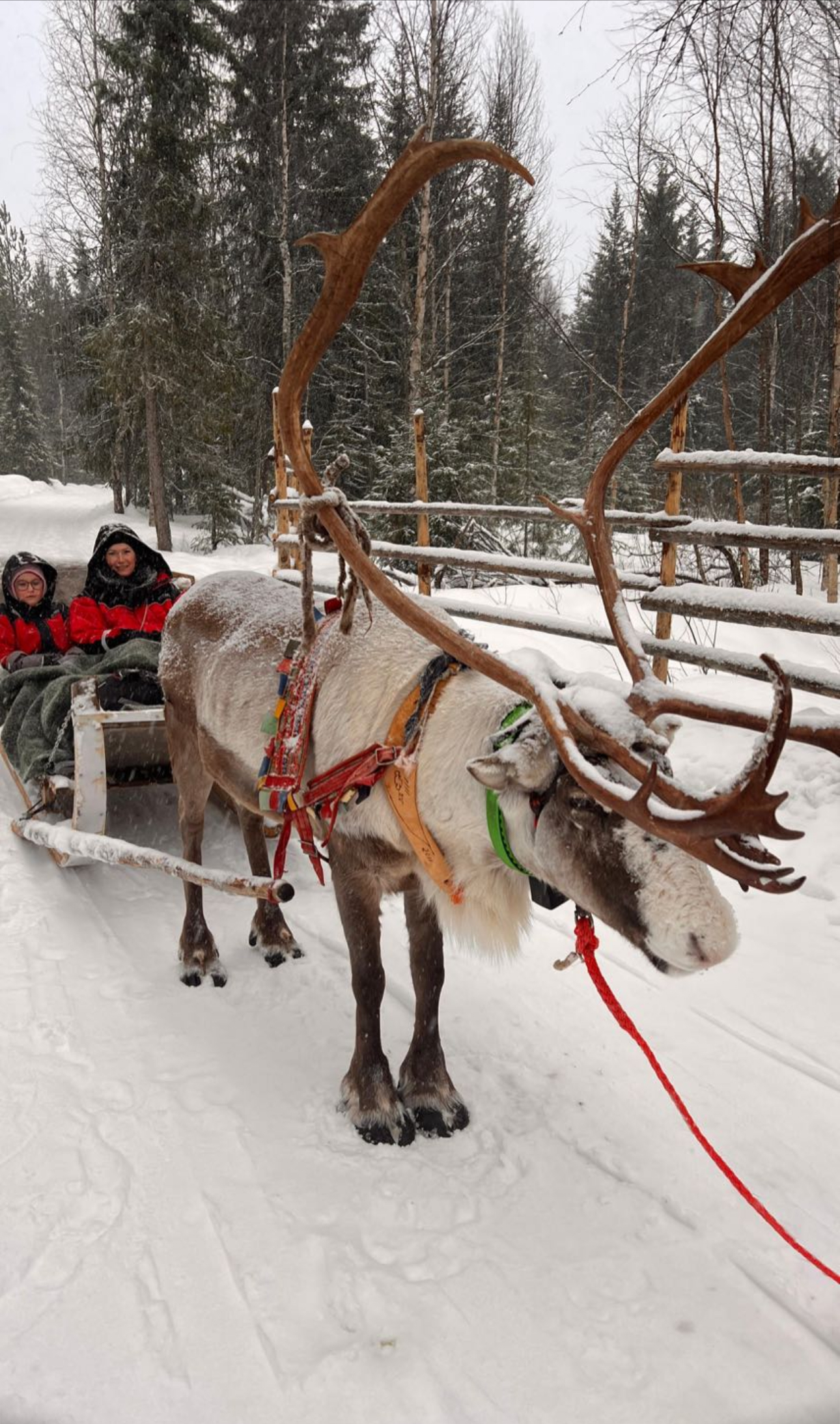 Snowmobiling in Rovaniemi